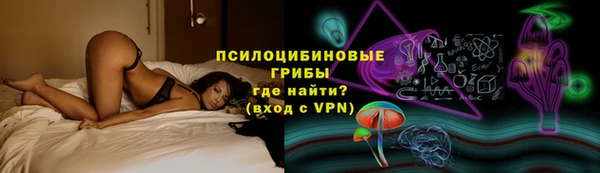 2c-b Богородицк