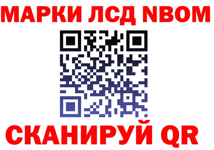 A-PVP СК ТОР это OMG Рошаль