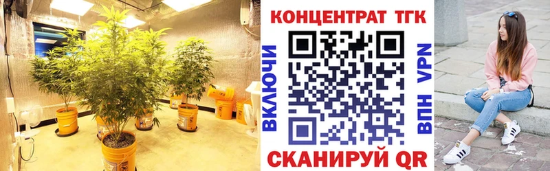 Дистиллят ТГК концентрат  Купить  Рошаль 