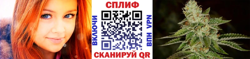 Купить Рошаль Марихуана план